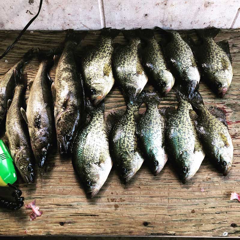 Rainy Lake Slabs