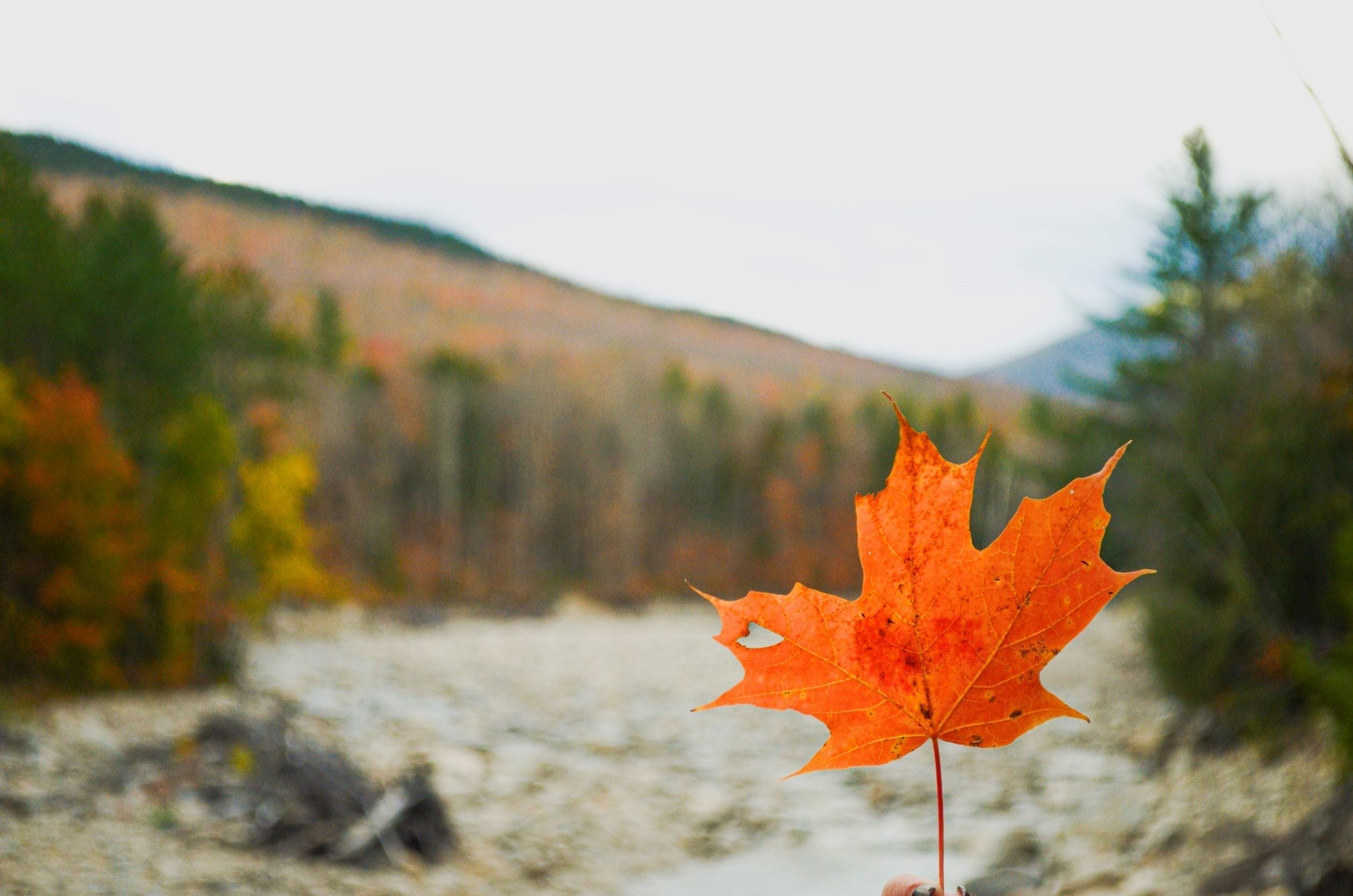 5 Best Places to Leaf Peep in New England