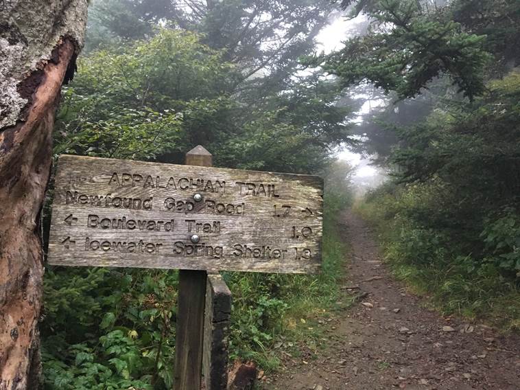 3 Must-Do Hikes in the Smokies