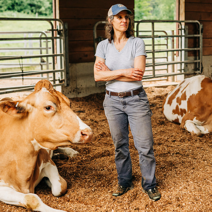 Woman wearing microweight merino wool v-neck stands with dairy cows #color_ash-gray