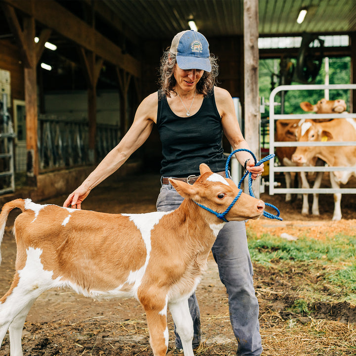 Women walks dairy calf wearing lightweight wool tank top #color_black